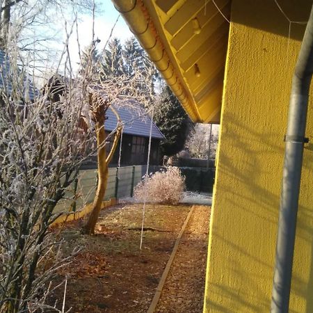 Gastehaus Allergrund Hotel Wienhausen ภายนอก รูปภาพ